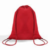 Non-Woven Drawstring Backpack