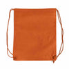 Large Non-Woven Drawstring Backpack