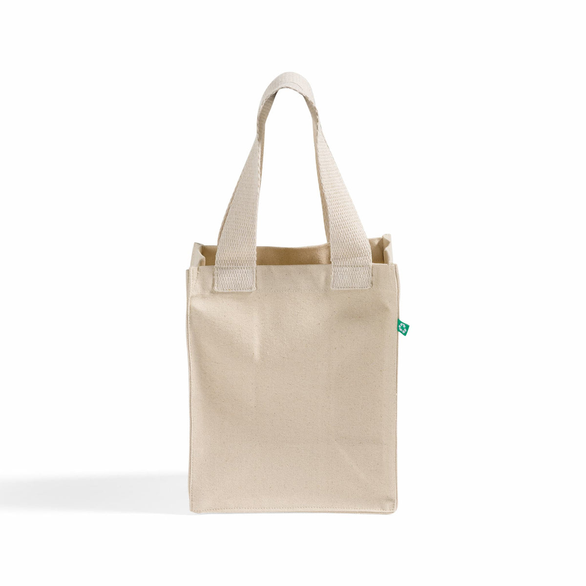 Recycled Canvas Trendy Book Tote – TBF Bags