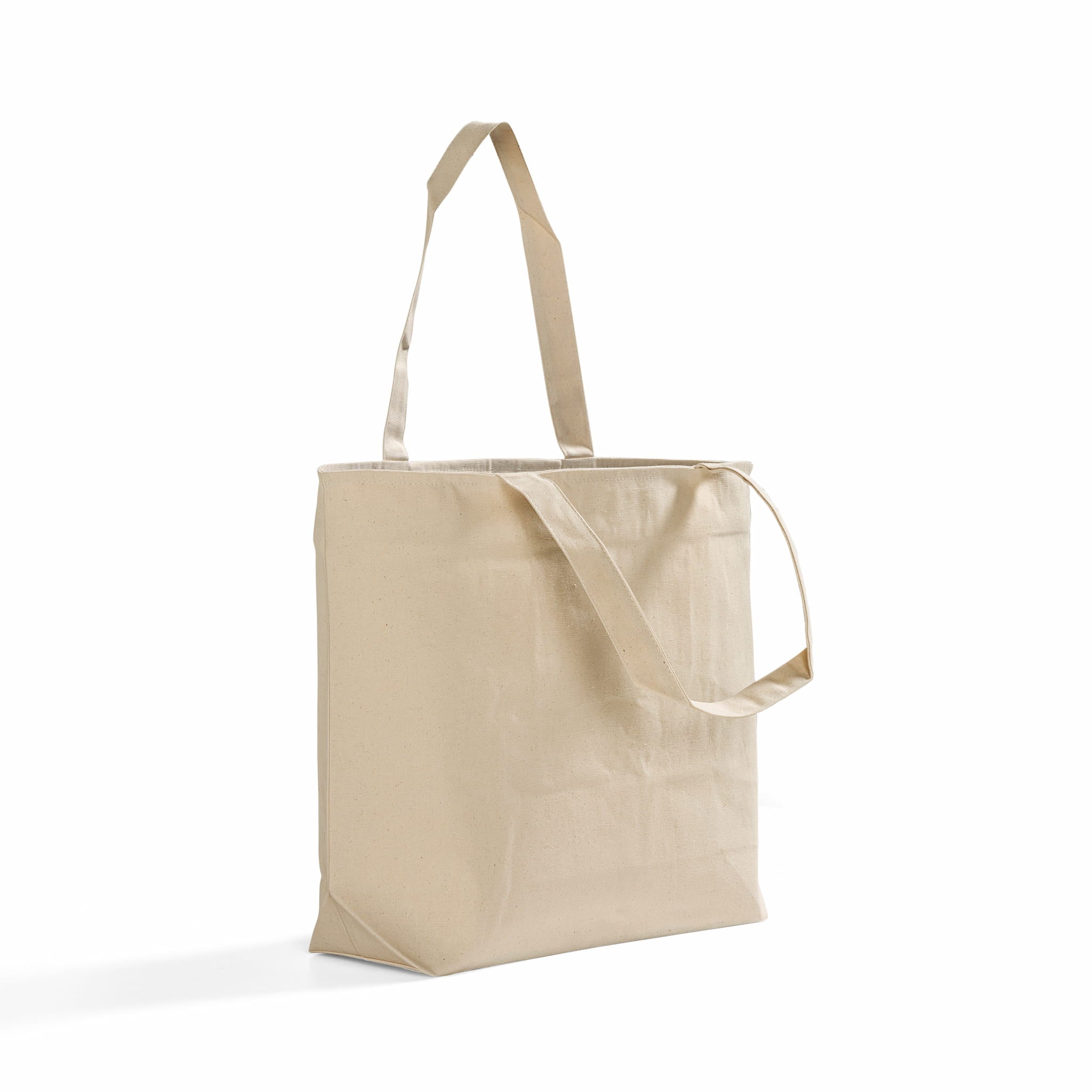 Zip & Go Canvas Tote – TBF Bags